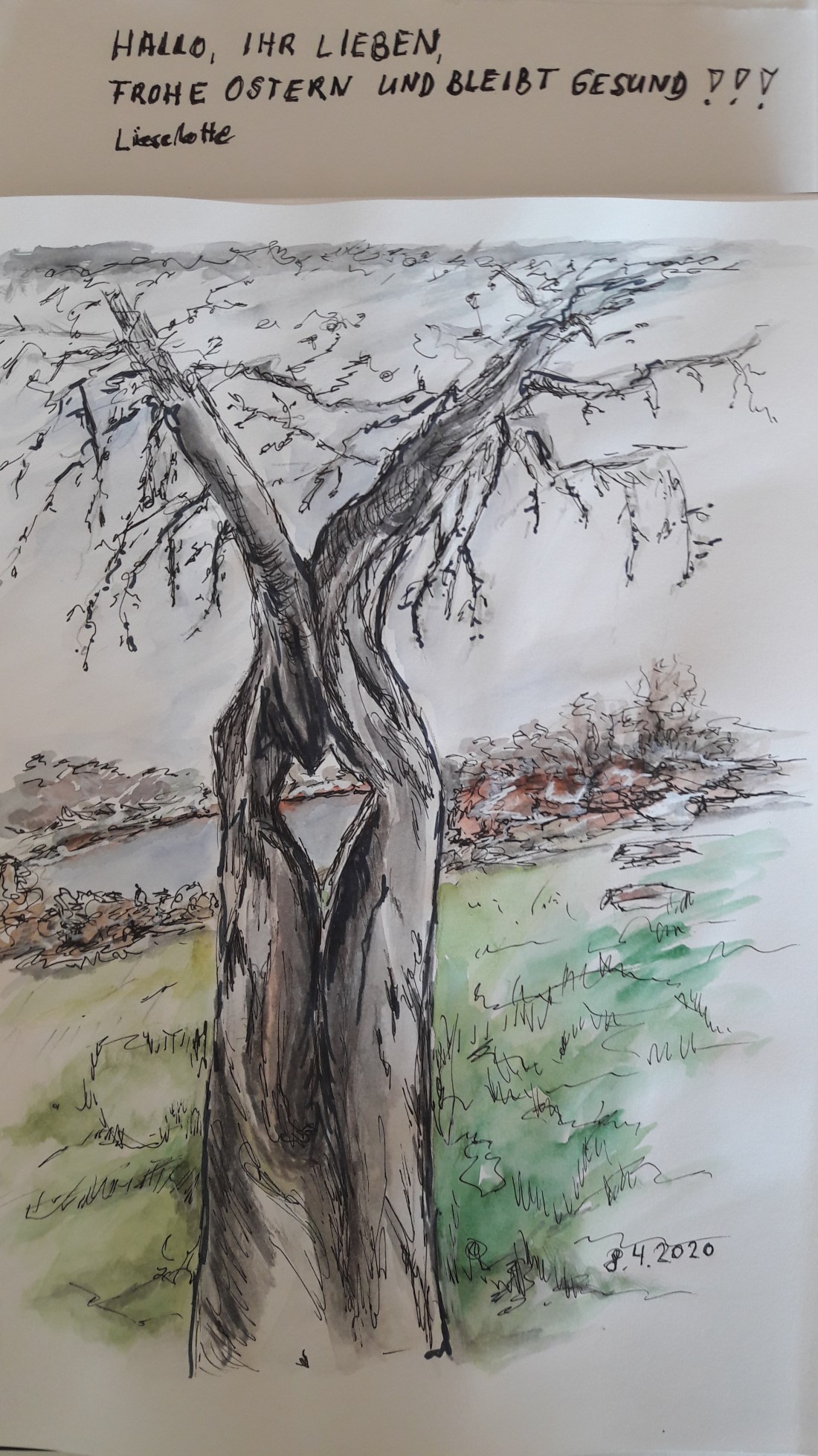 Lieselotte_Ostergrüße aus Röttgen