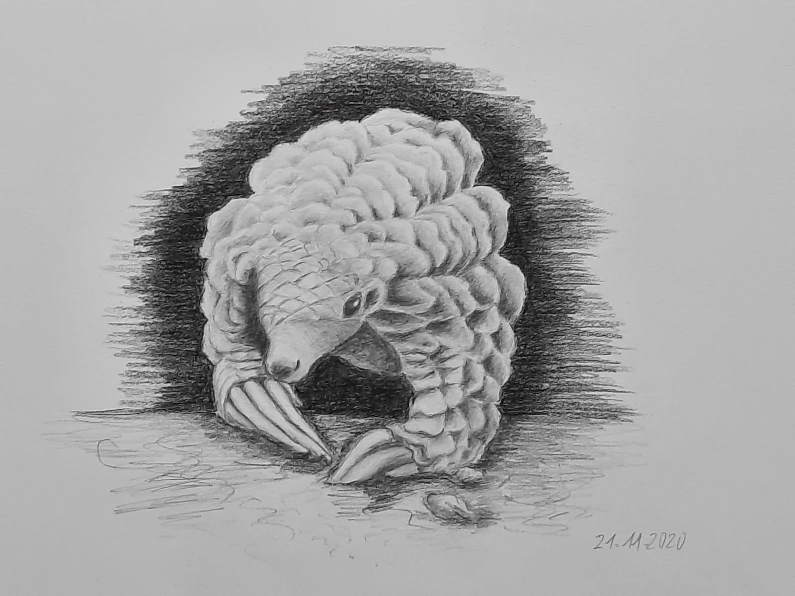 346f6526-a6b9-474f-87bf-fe631ddbf748