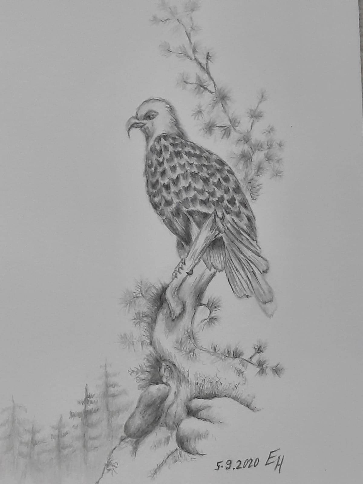 53dde6b0-54ce-4fea-a5d1-c6e72794eb3f