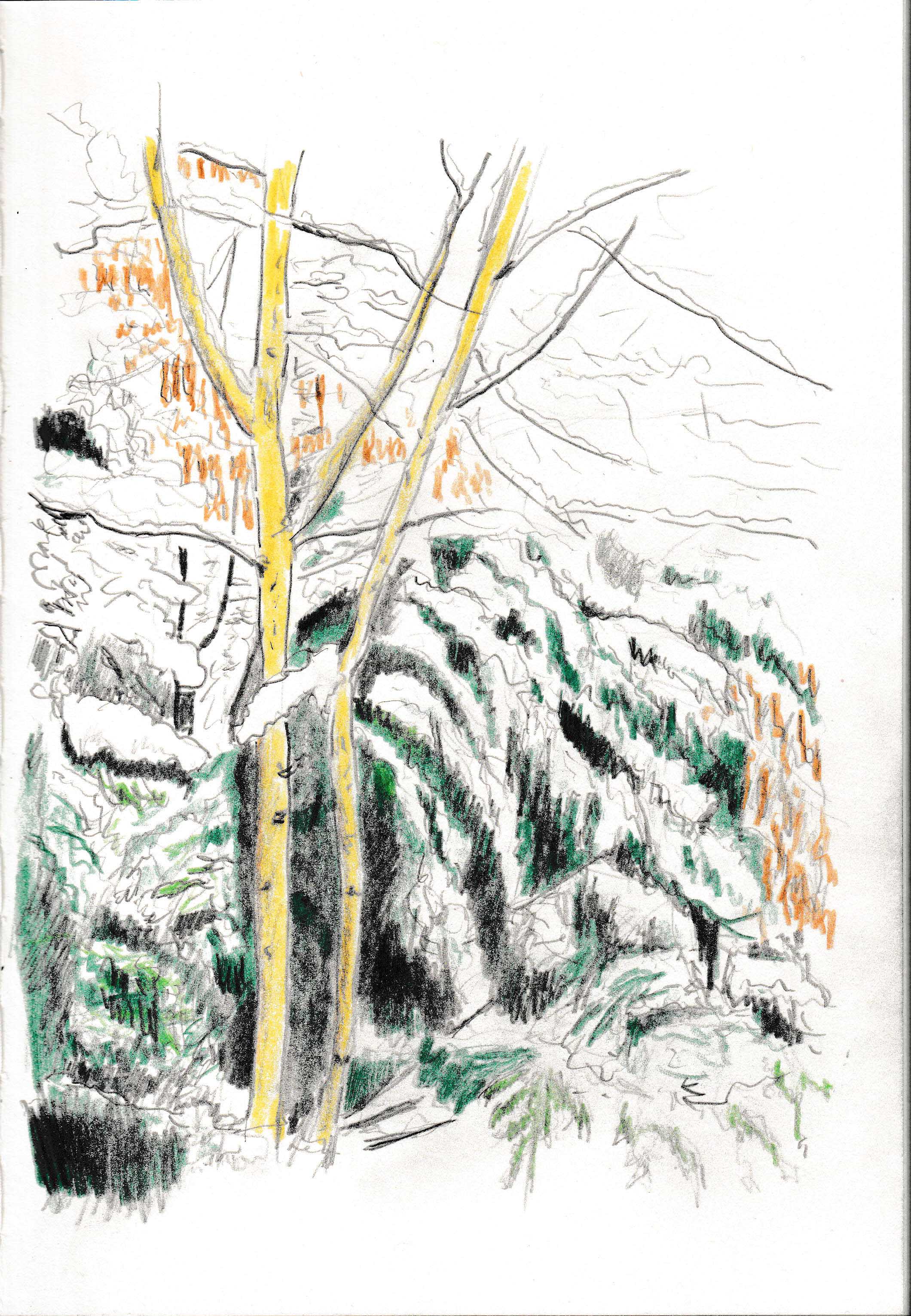 IMG_20210123_0002-Alfred