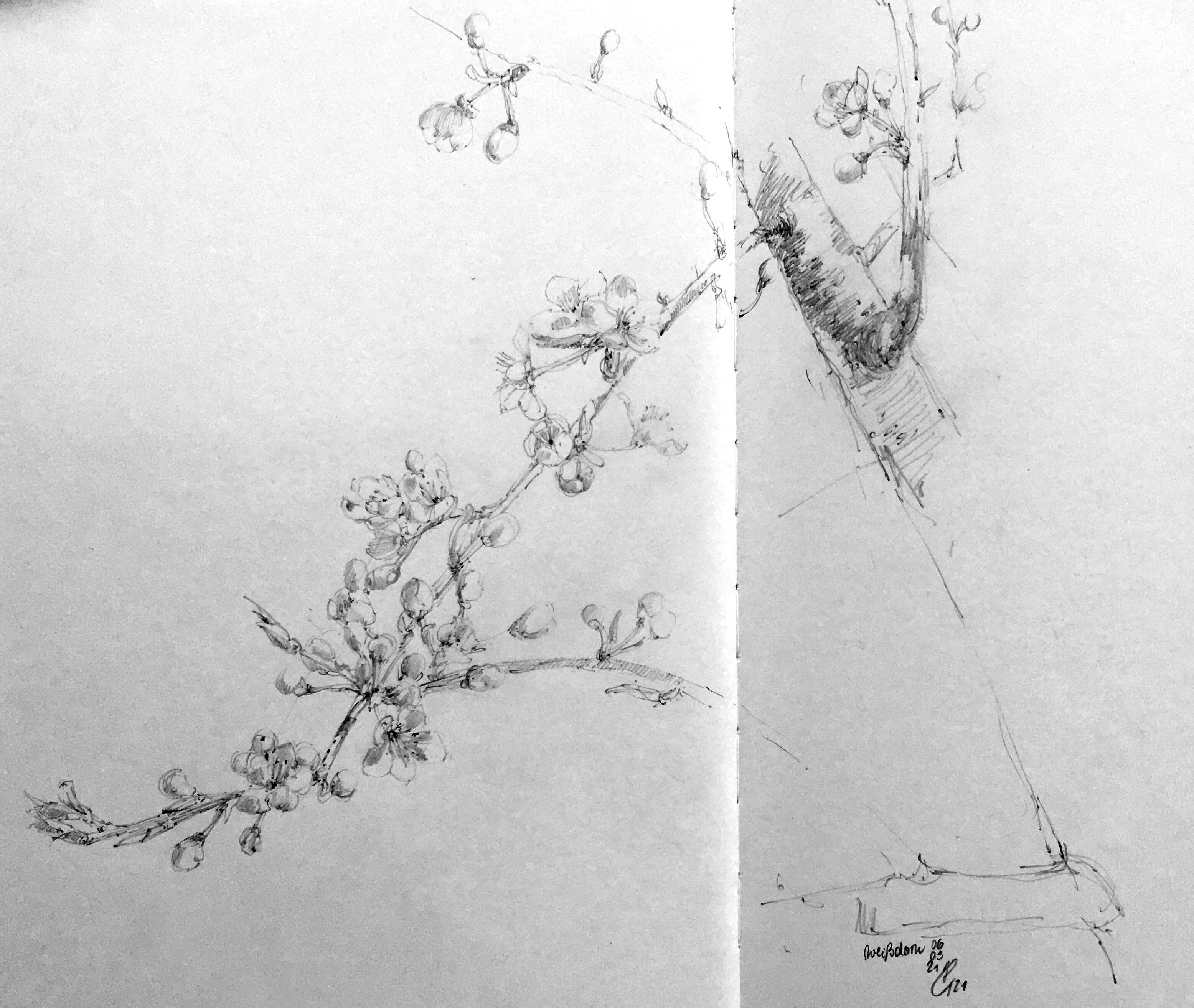 39_2021_Weissdorn_Hannelore