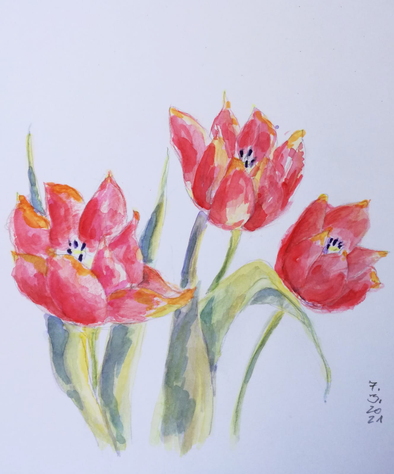 bf87aca-5e25-4353-8710-c9497e2e7bab