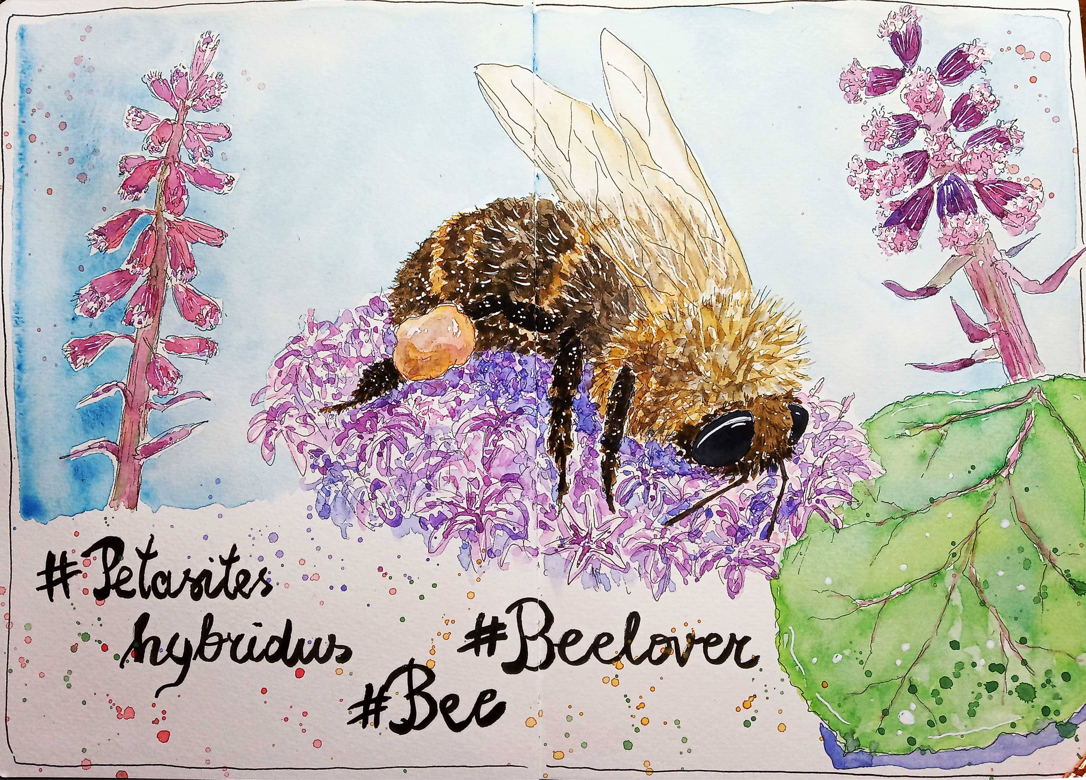 IMG_20210311_110519_Hanna