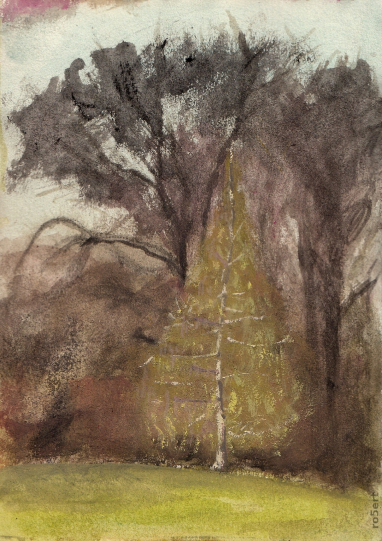 TreeSunset_03_2021_ro5ert_1K_Robert