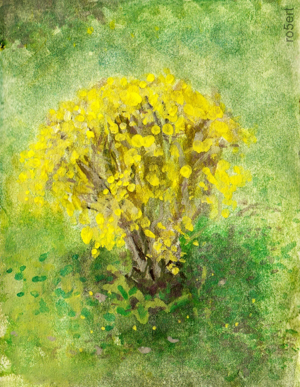 Flowers_rob_small_Robert