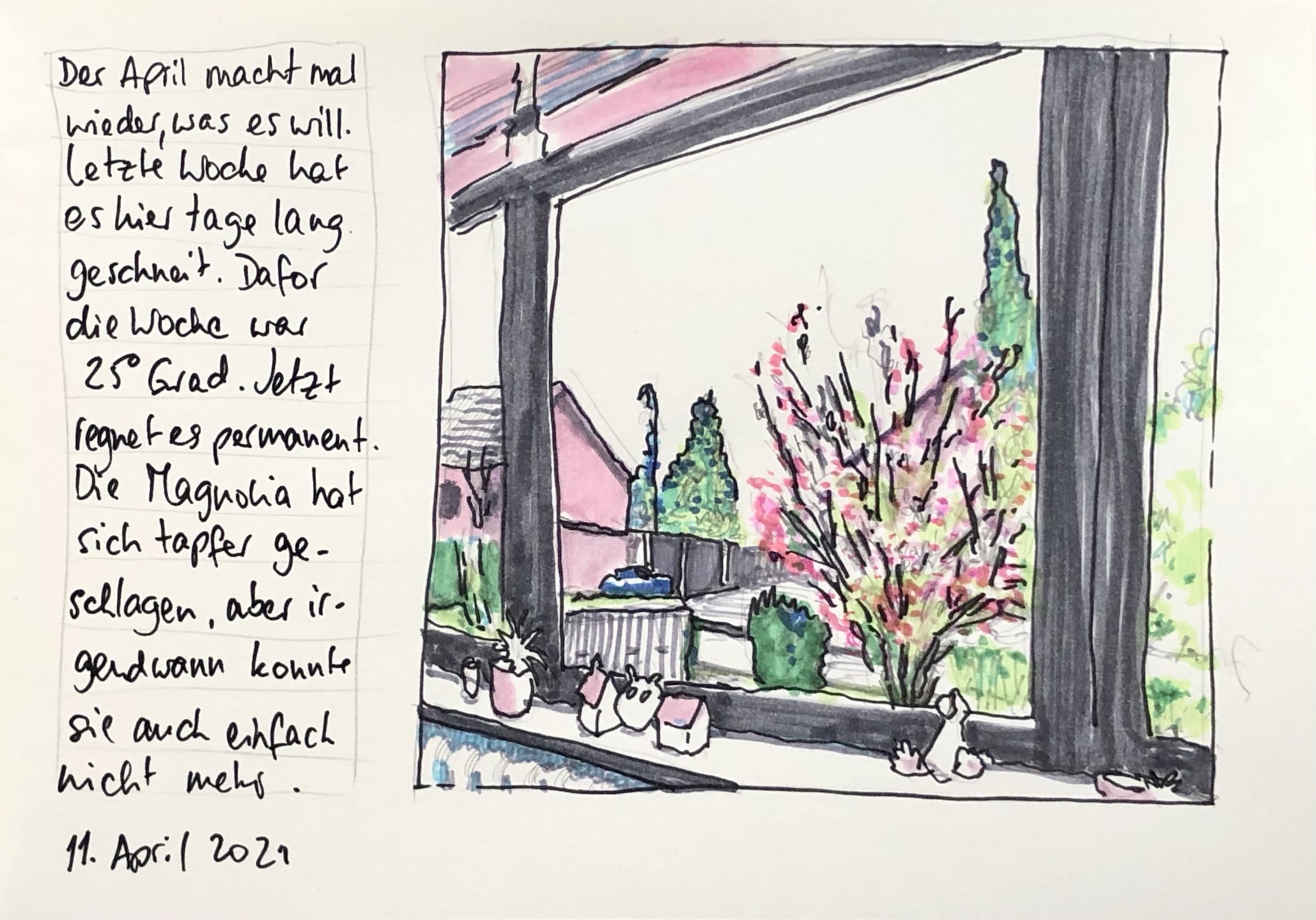 Stuarts Blick aus dem Fenster