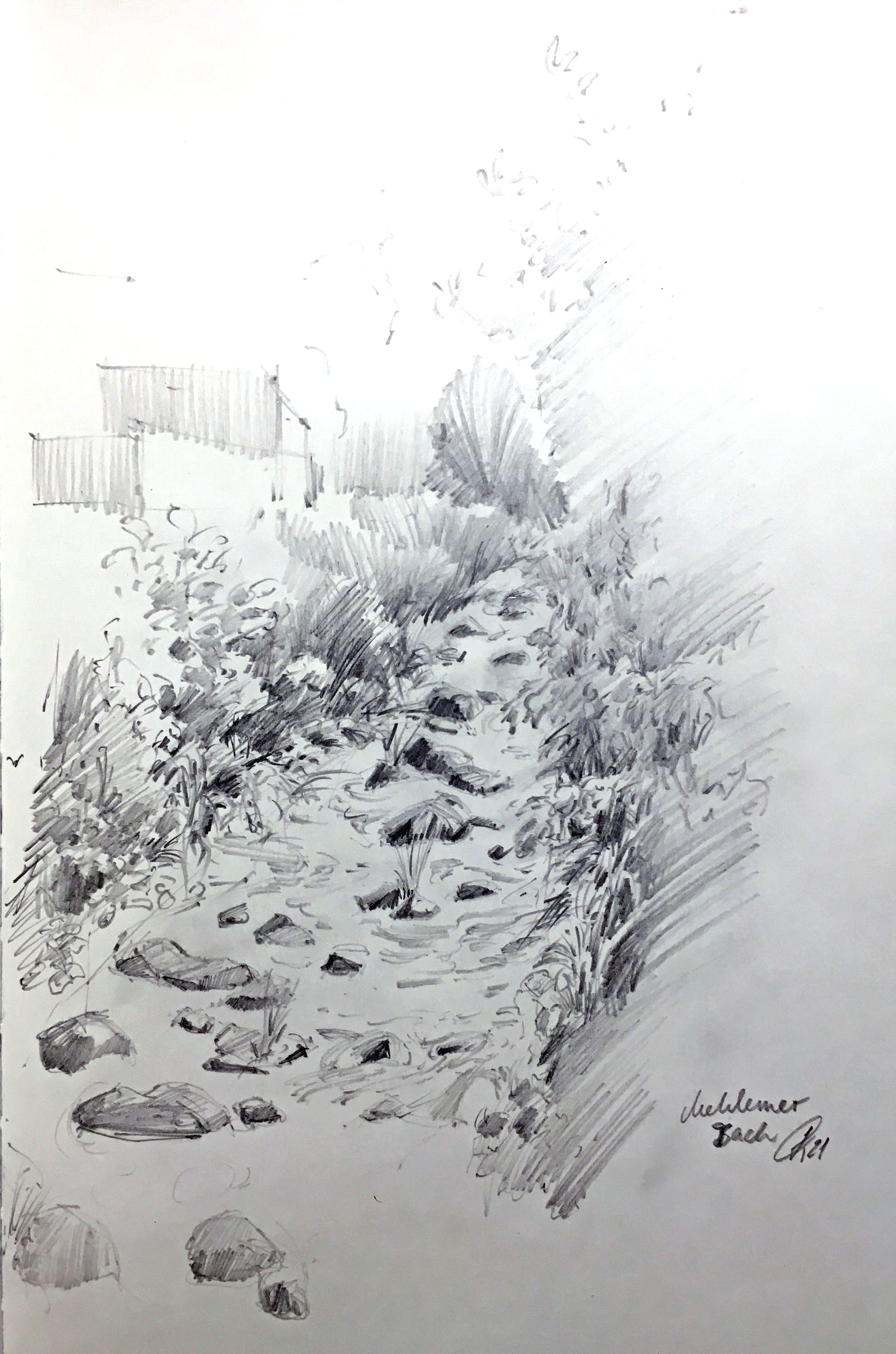 104_2021_Mehlemer_Bach_Hannelore