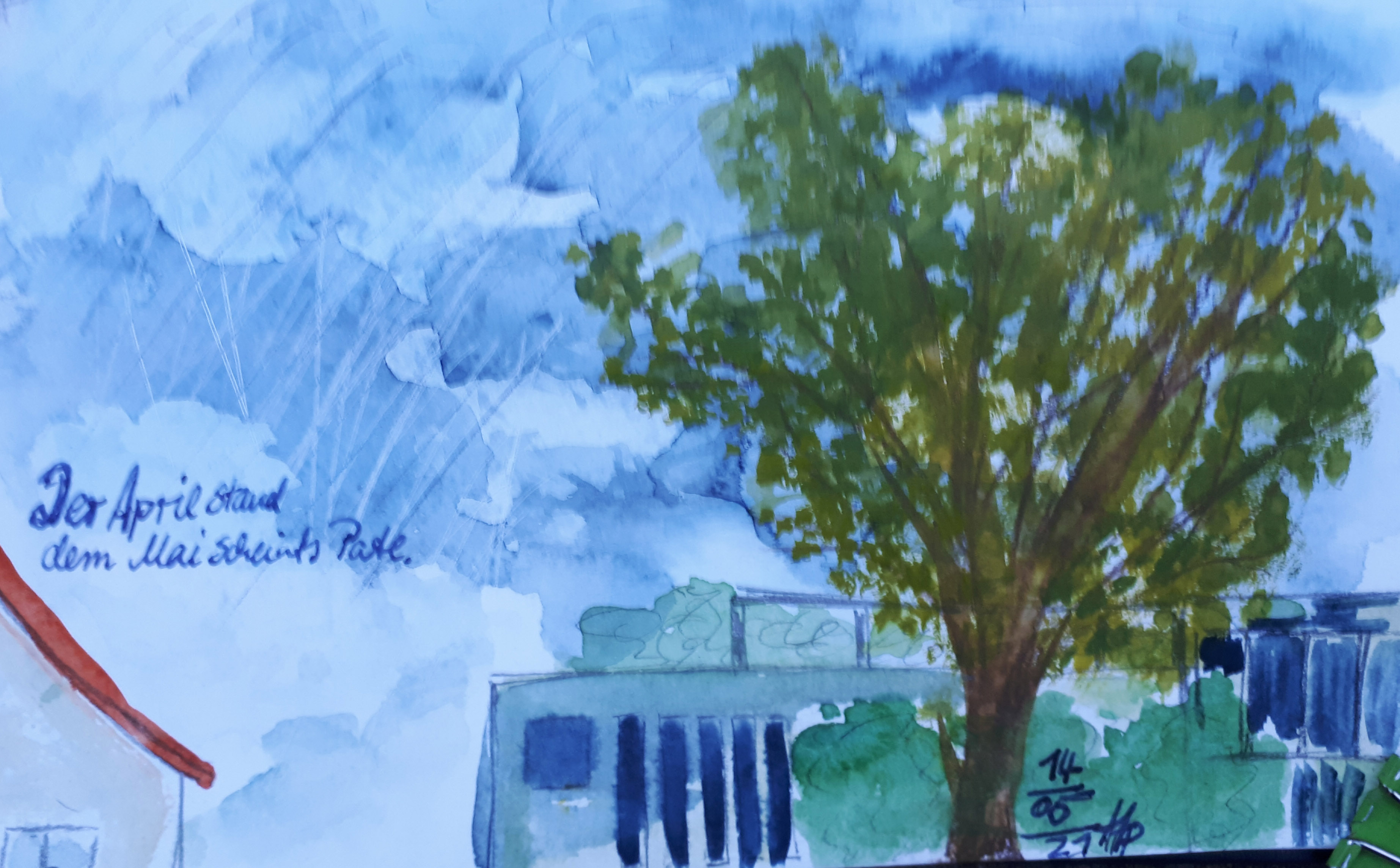 20210514_202823_Tilli