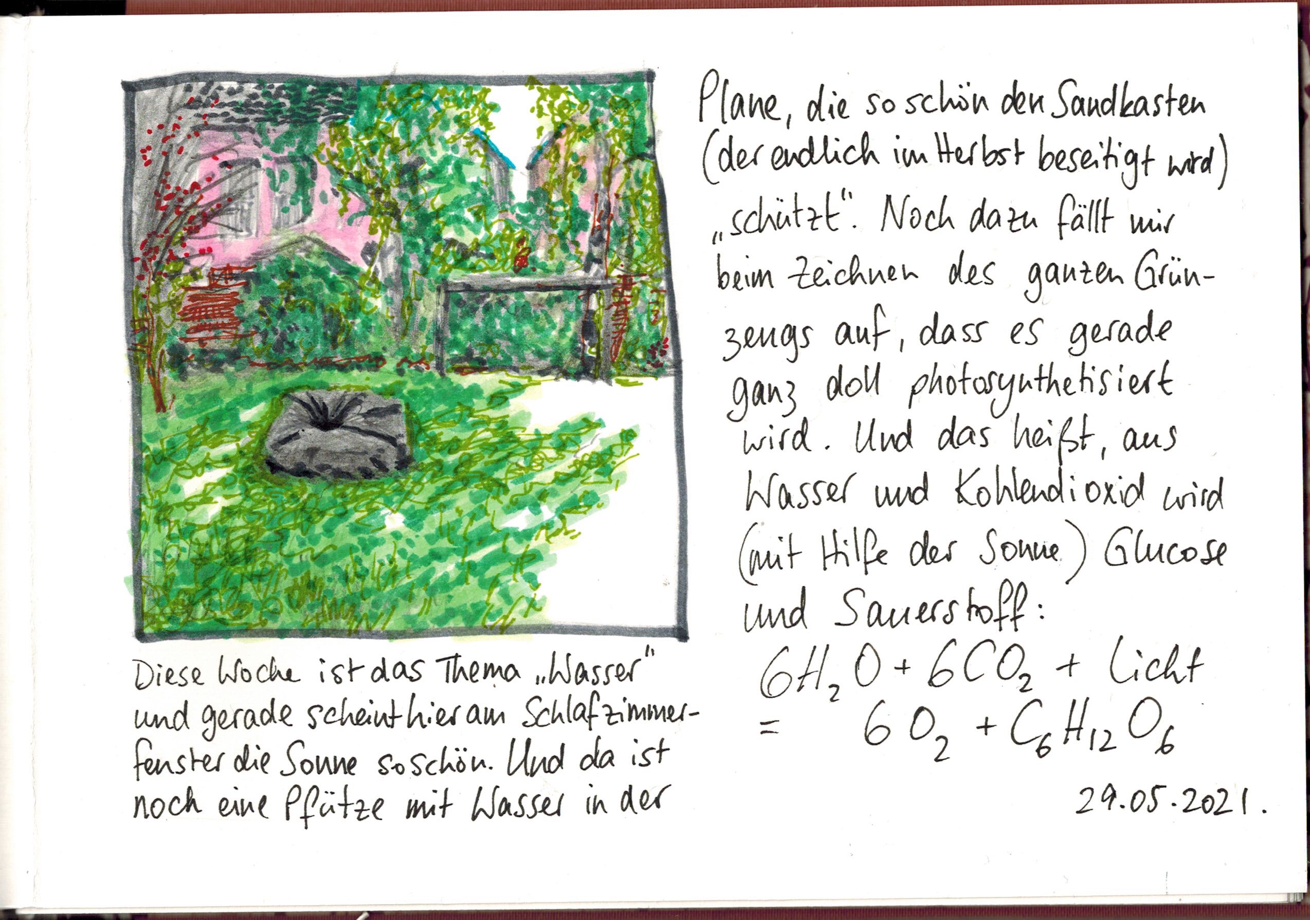 Stuarts Pfütze und Chemielektion