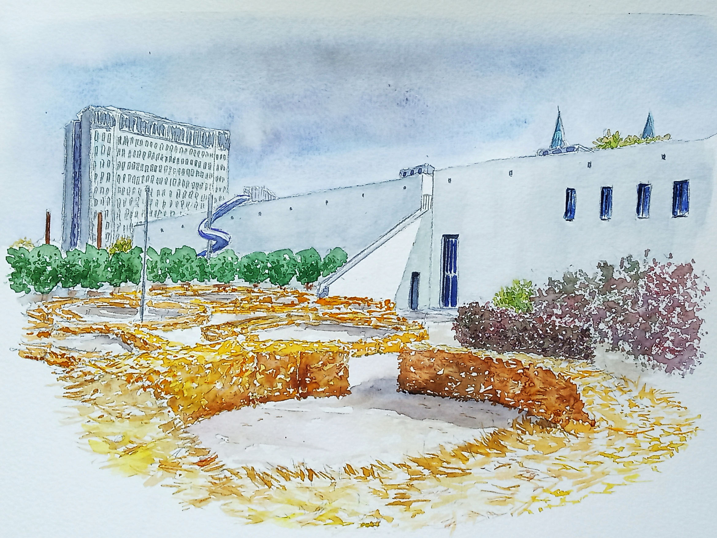 IMG_20210626_101154_hanna