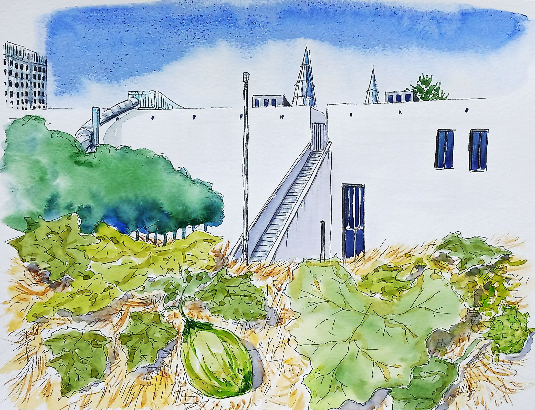 IMG_20210905_100750_hanna