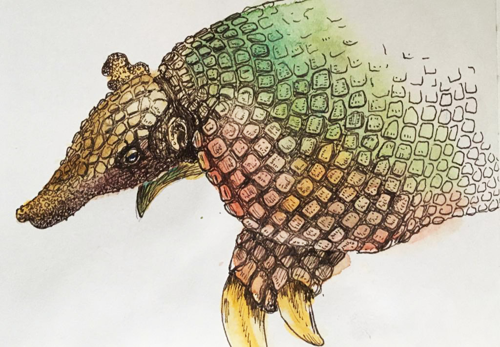 2a87e9a0-b8cf-4268-9f55_Ruth