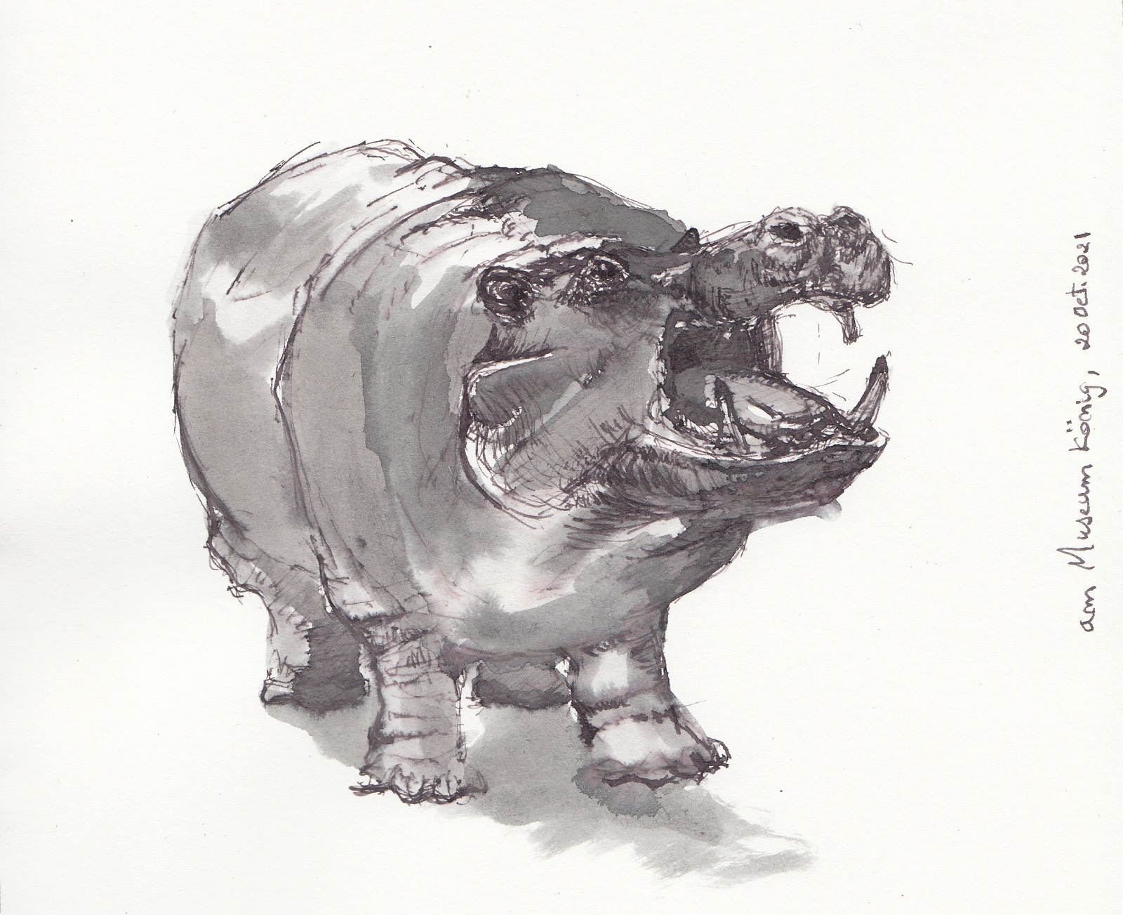 InktoberDay20_ro5ert