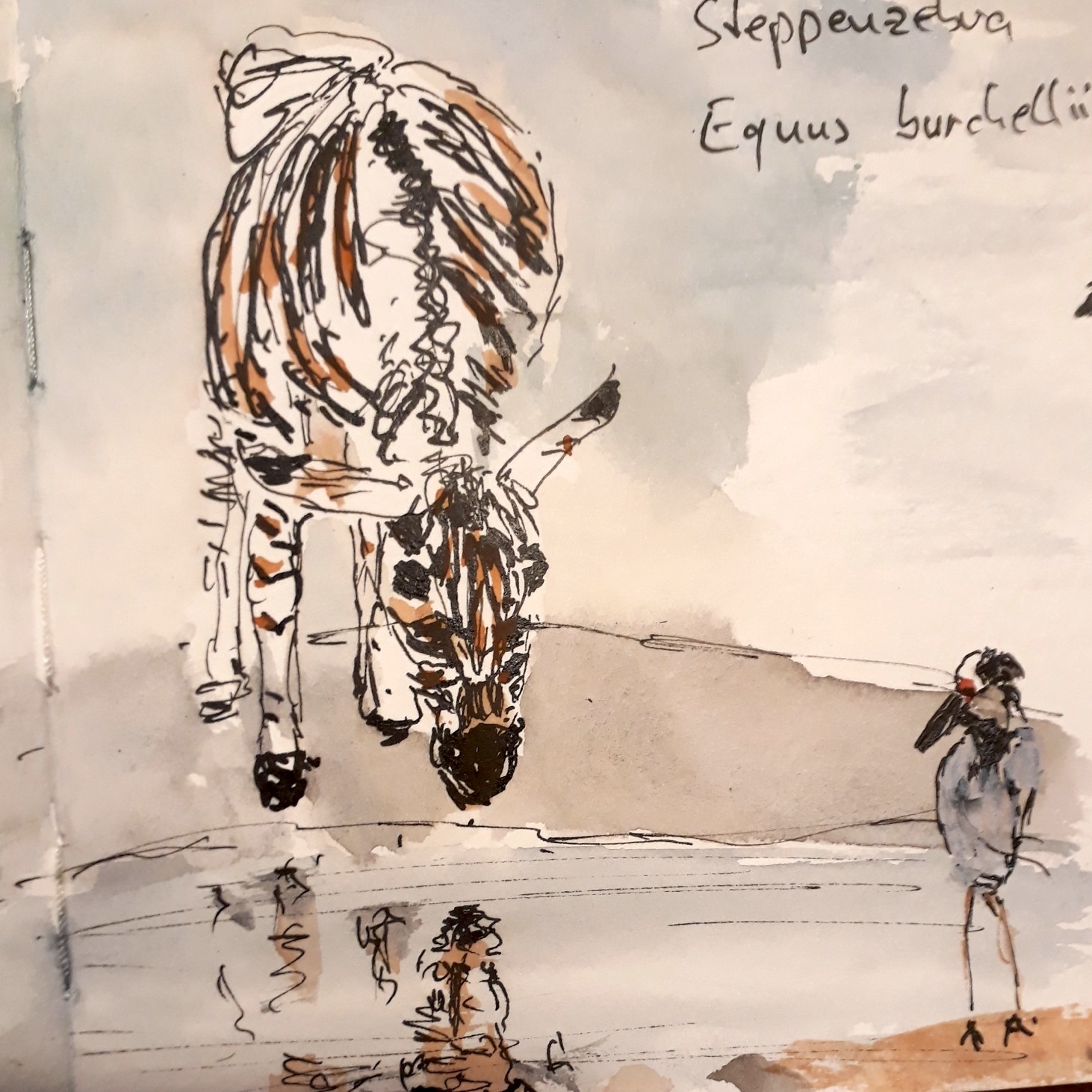 20211124_211816_Heinz