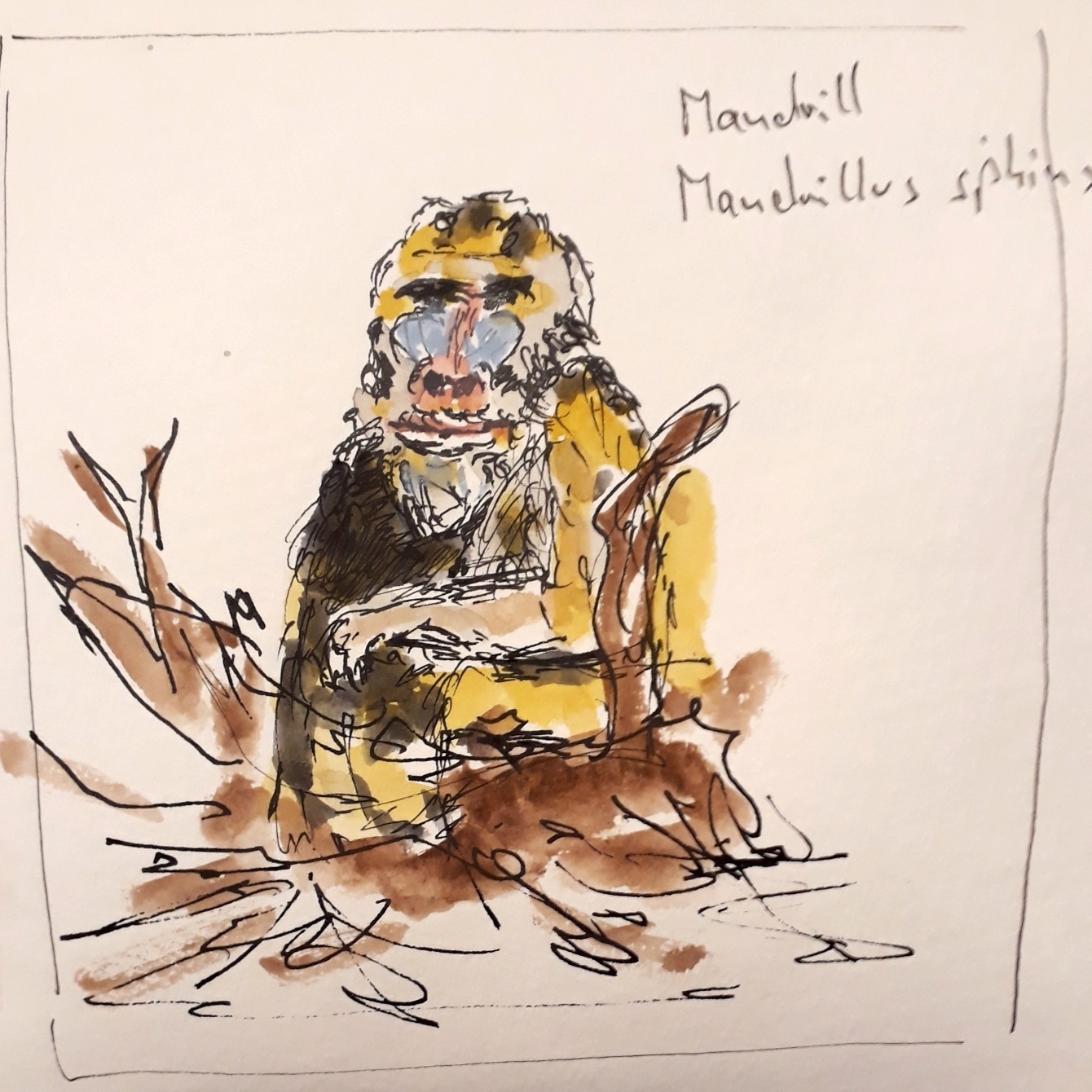 20211124_211912_Heinz