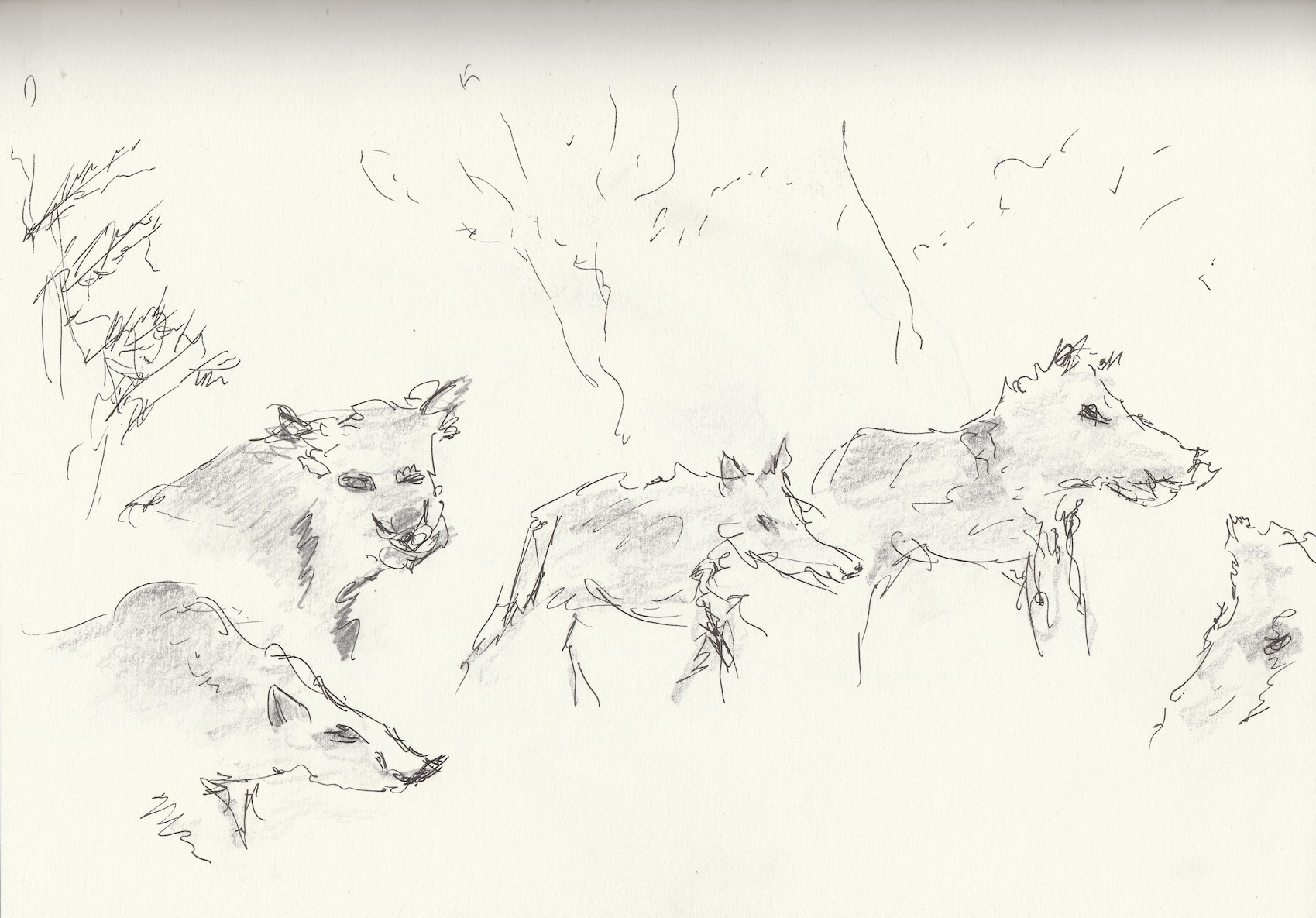 IMG_20211126_0001_Alfred