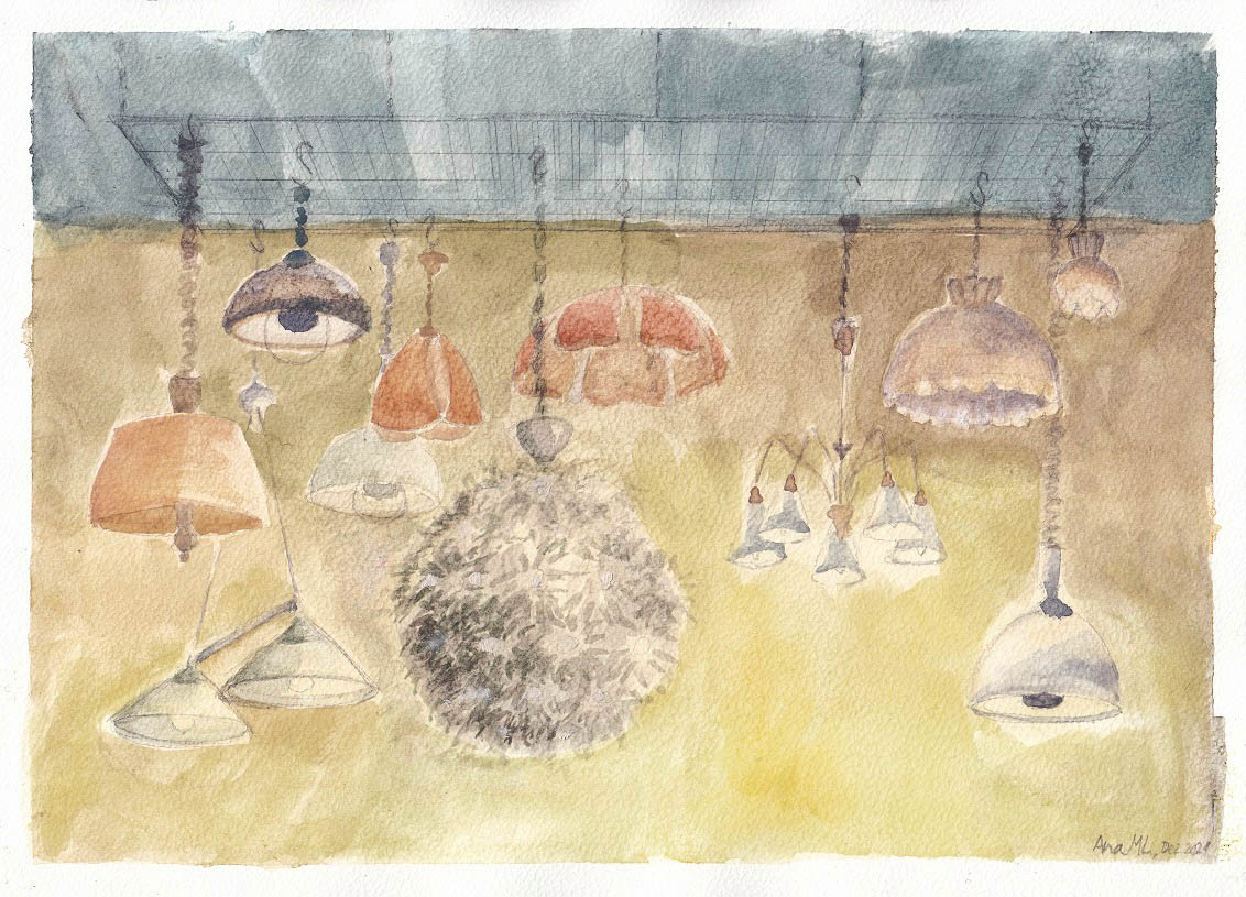 2021-12-01 Schatzinsel-Ana