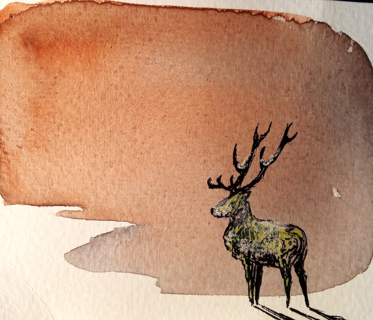 IMG_20220127_170544_Hanna