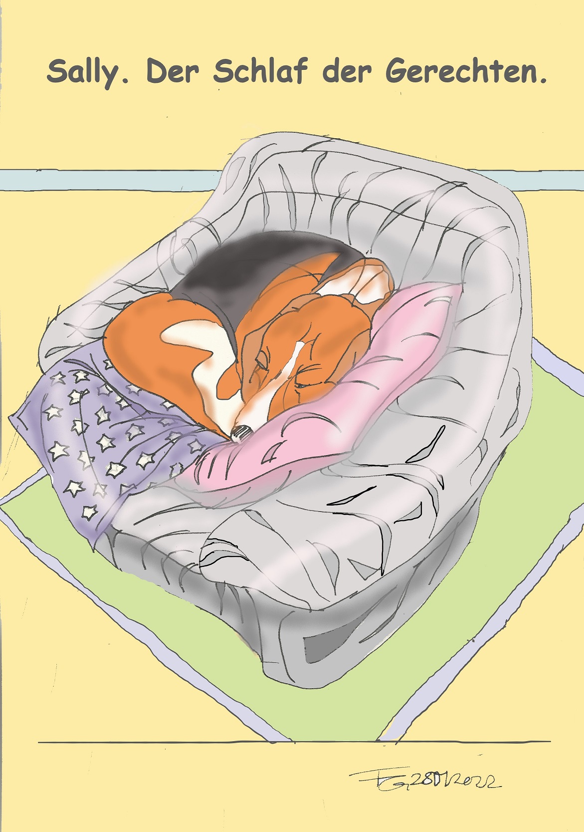 Tier_Sally_Schlaf_FGross_mini