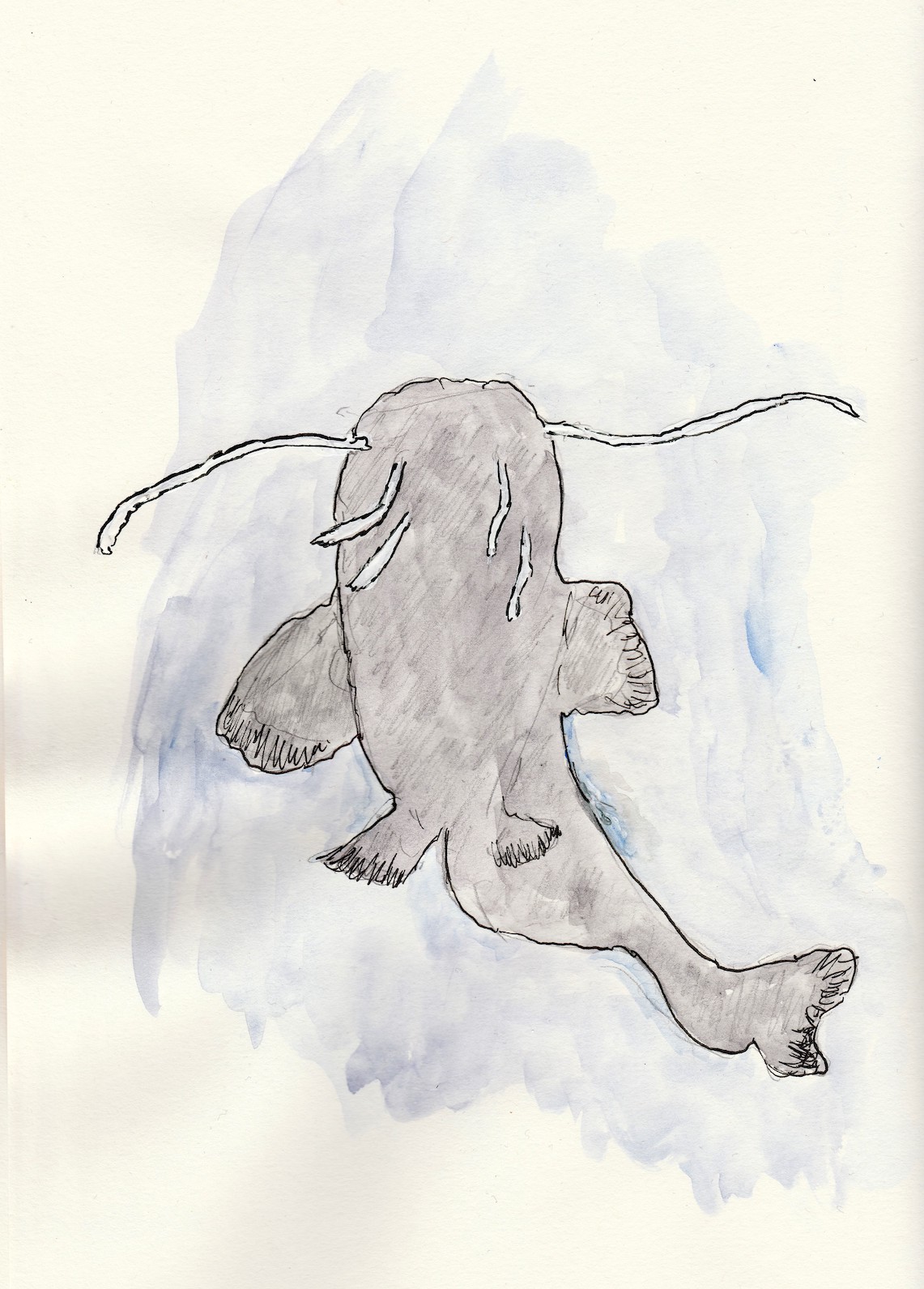 IMG_20220305_0001_Alfred