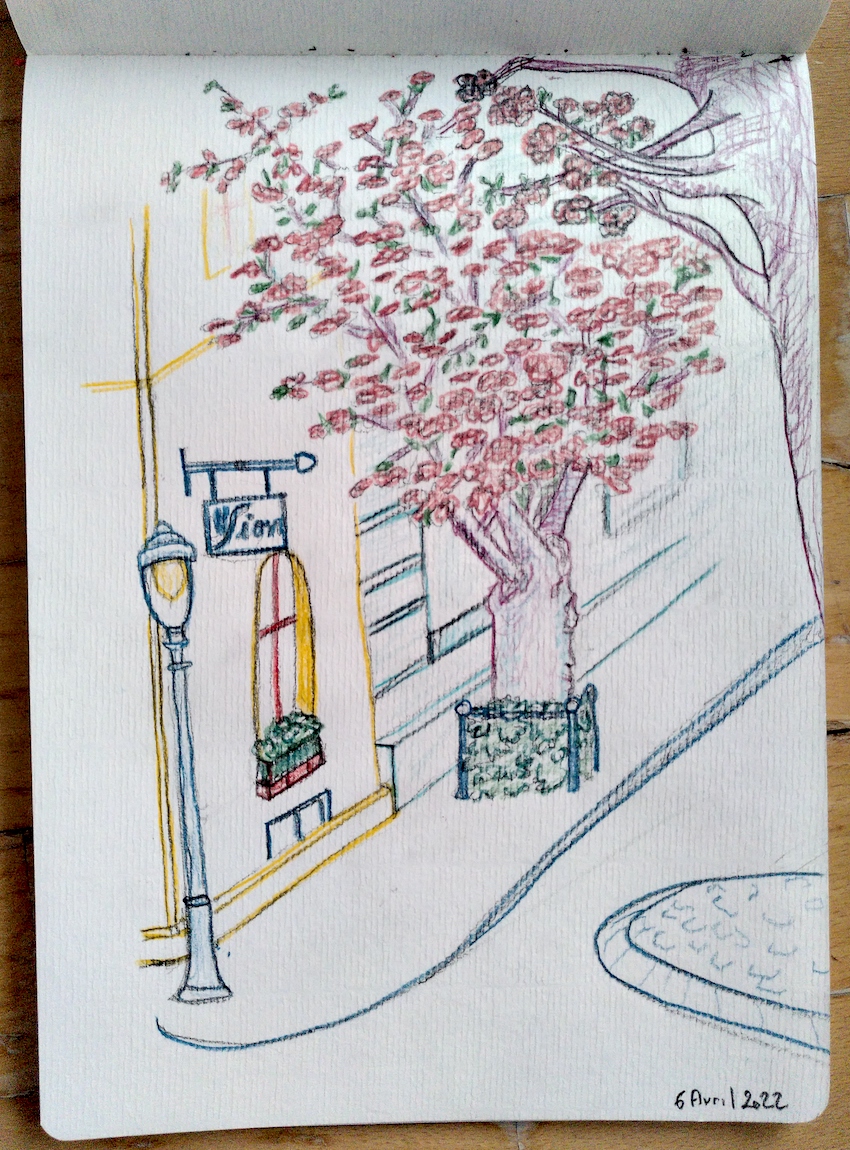 IMG_20220408_072315_Elise