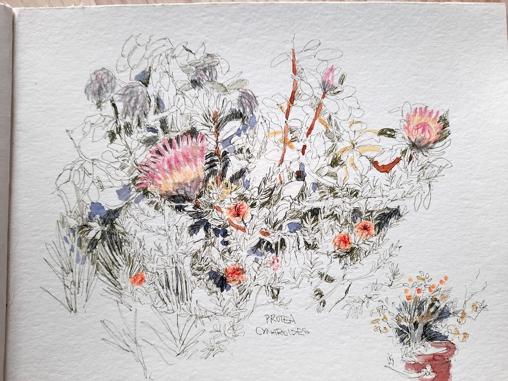 20220517_193447_Kerstin aus Koblenz