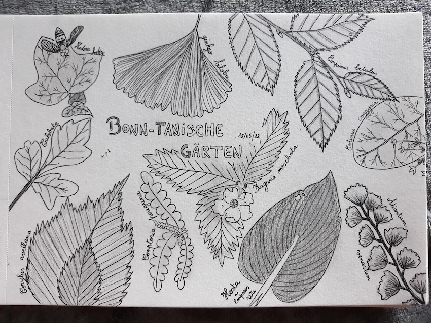 20220518_191610_Perrine