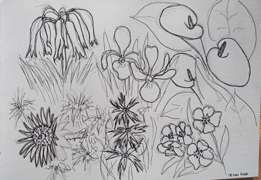 botanischer garten 2_Birgitt