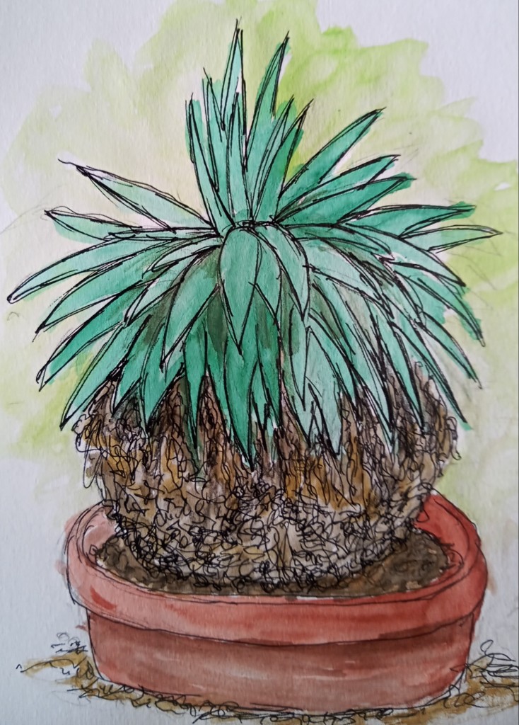 botanischer garten 3_Birgitt