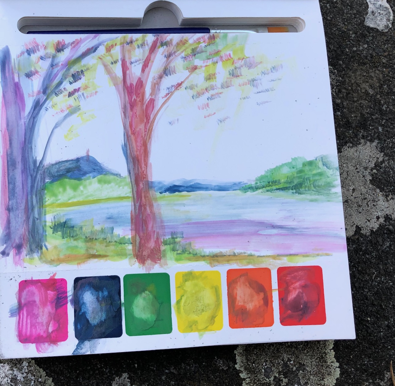 IMG_0745 (1)_Cornelia J