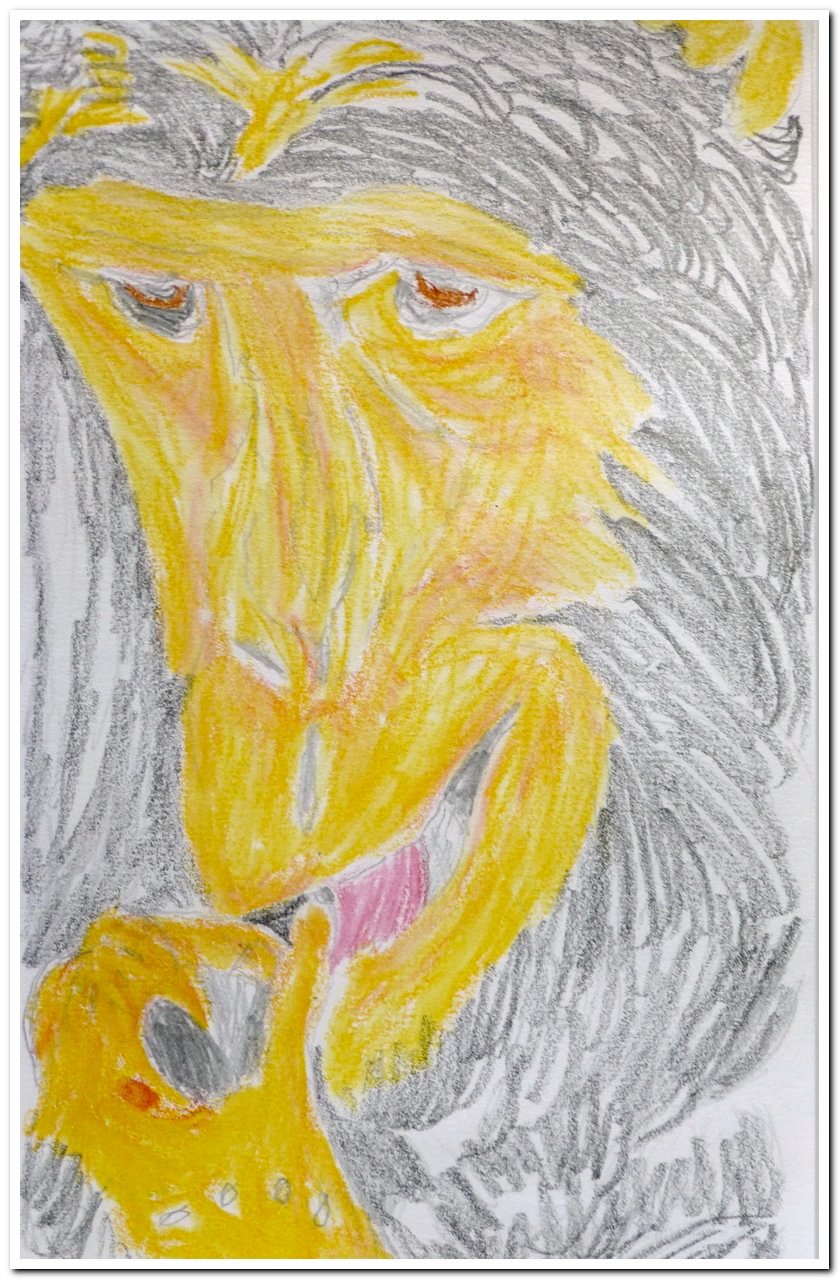 2022-10-16_003 Kopie