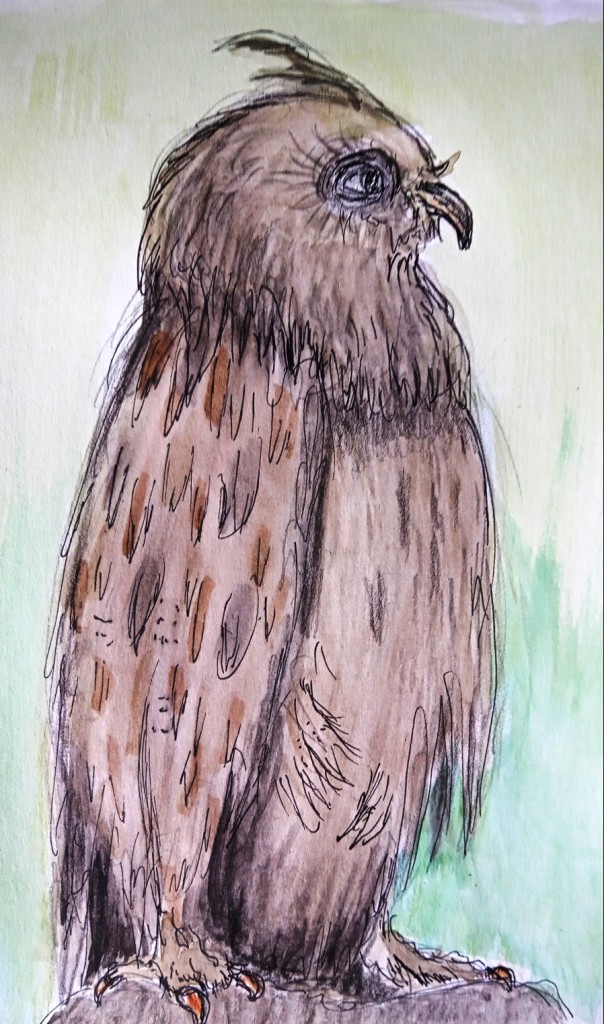 museum konig 1_Birgitt