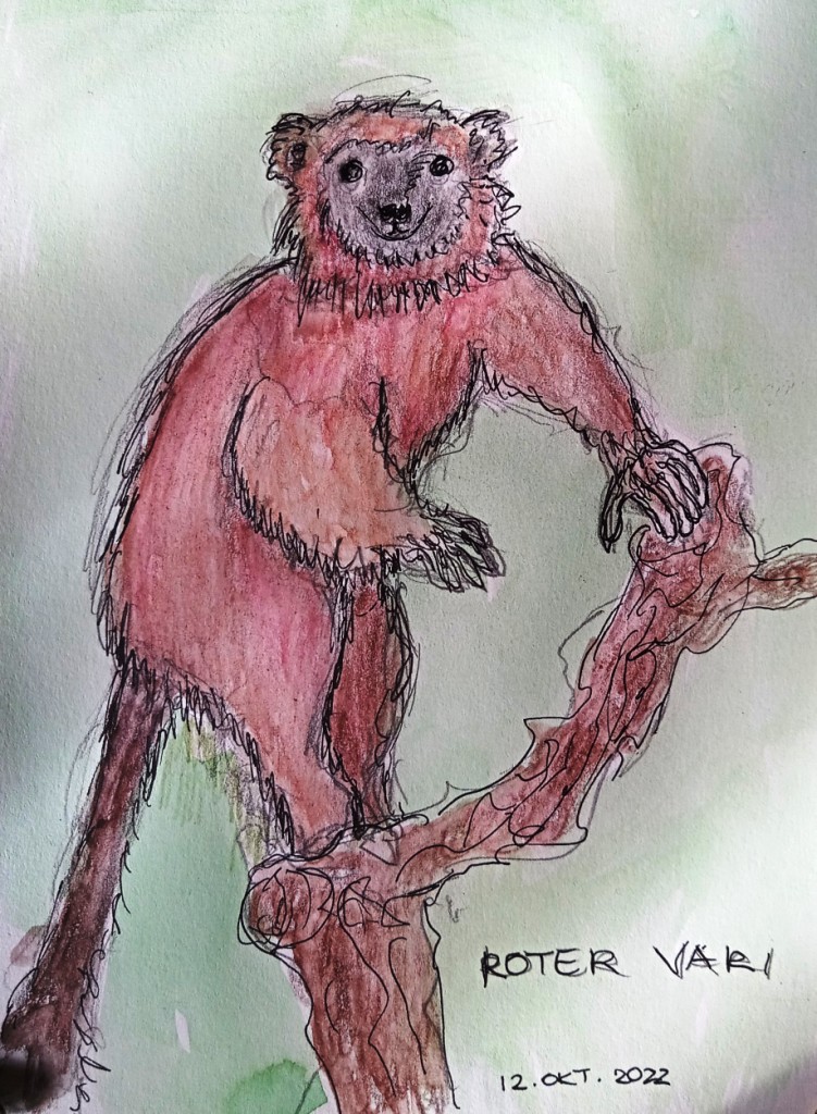 museum konig 2_Birgitt