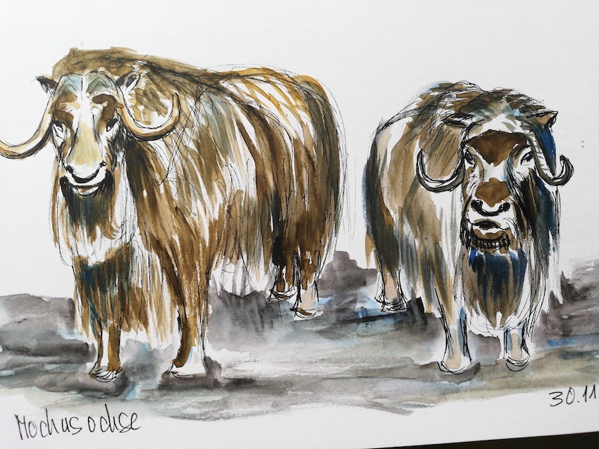 1669977891815_Christa