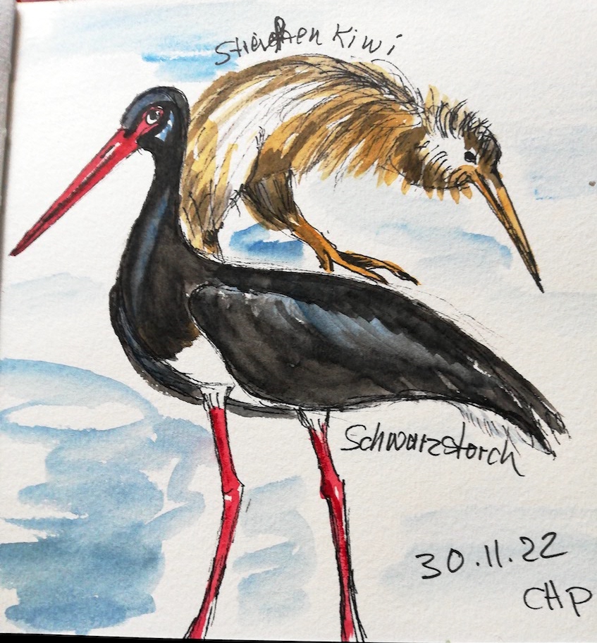 1669977949107_Christa