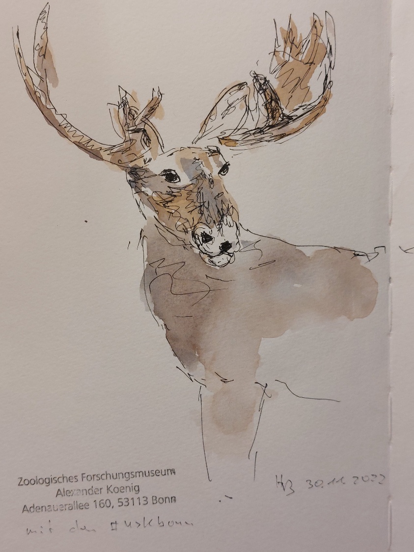 20221130_221351_resized