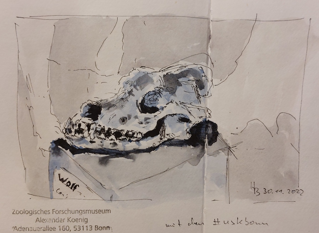 20221130_221414_resized