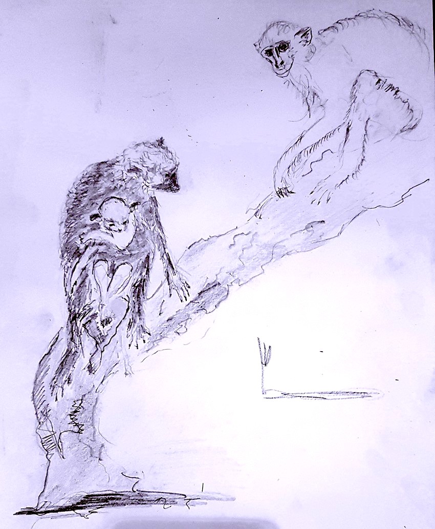 20221203_163818_andrea