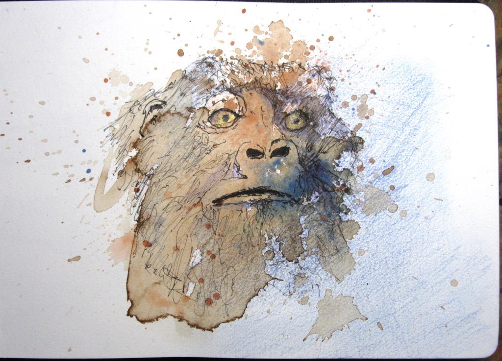 Berggorilla k_Holger