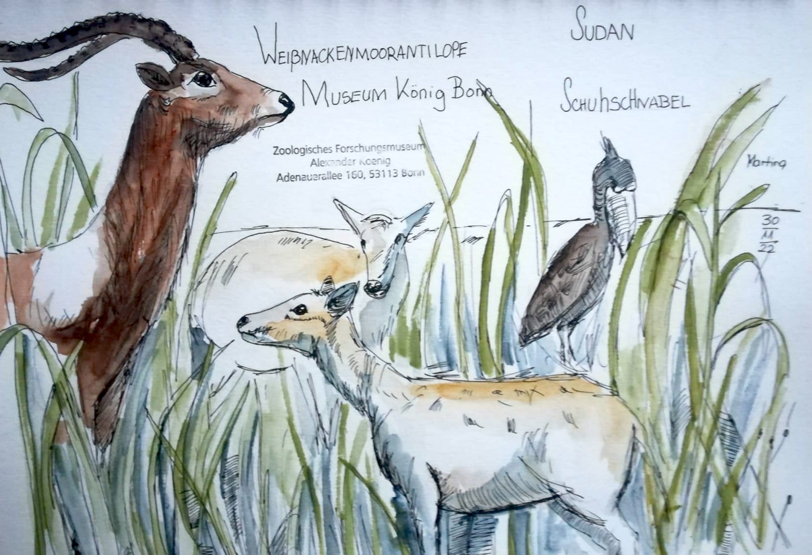 f370a6ce-f2bb_Martina