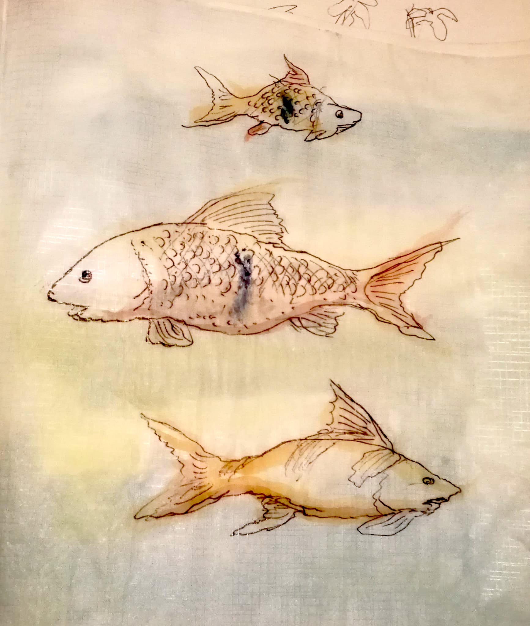 IMG-20221201-WA0005_Cornelia H