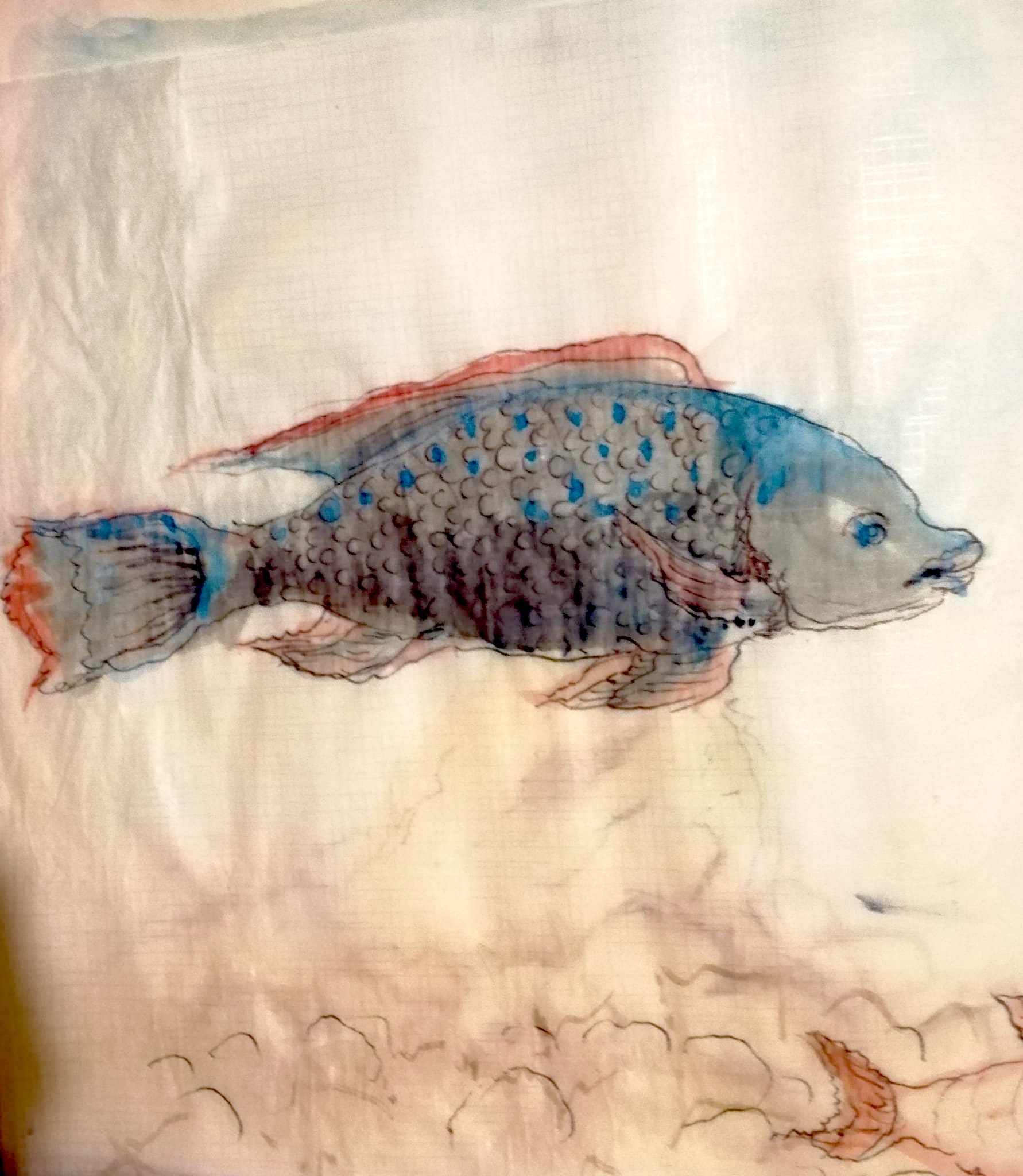 IMG-20221201-WA0006_Cornelia H