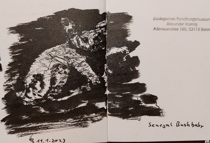 20230111_212920_Heinz