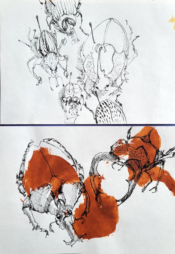 20230115_113028_Katja