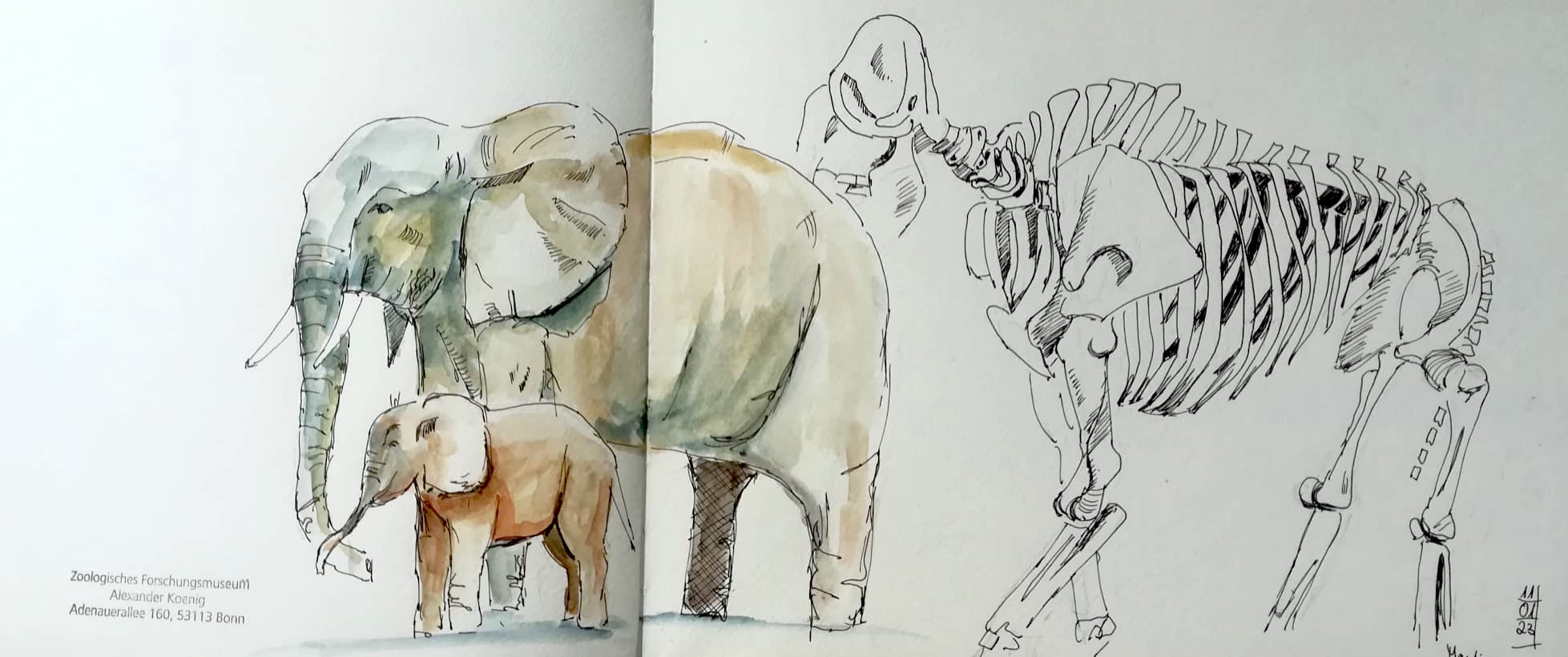 dc7635a7-4448-42d9_Martina