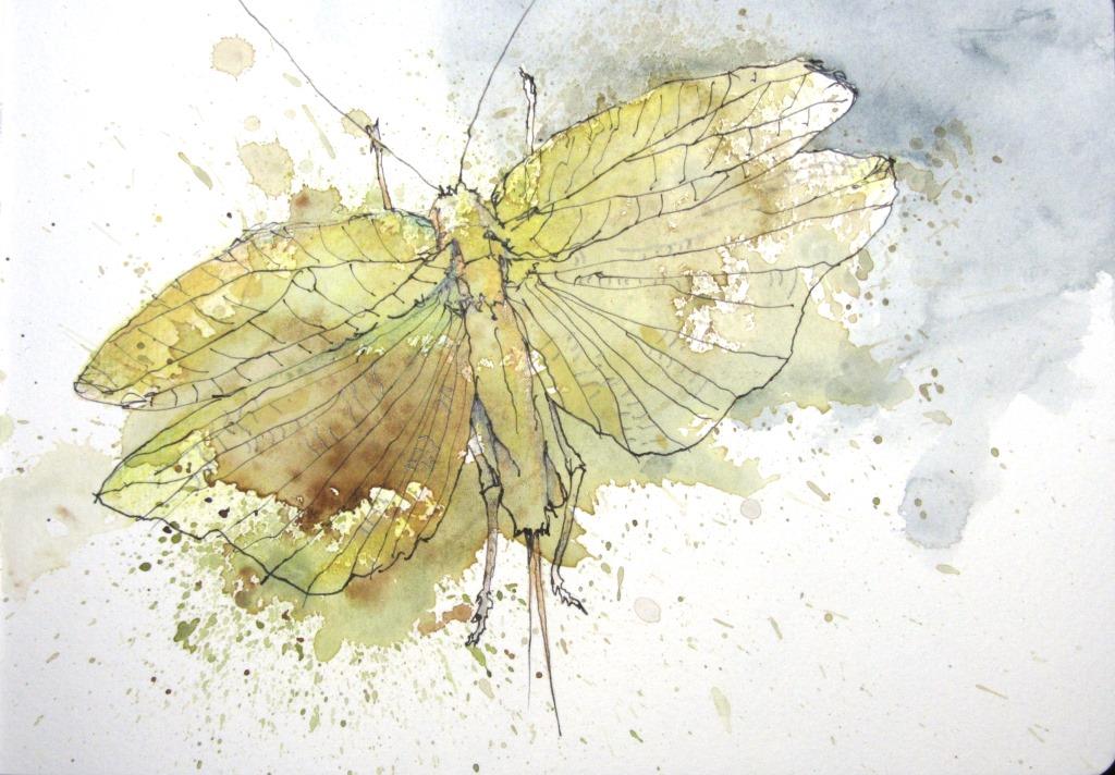 Holger_Koenig_2023_jan_001