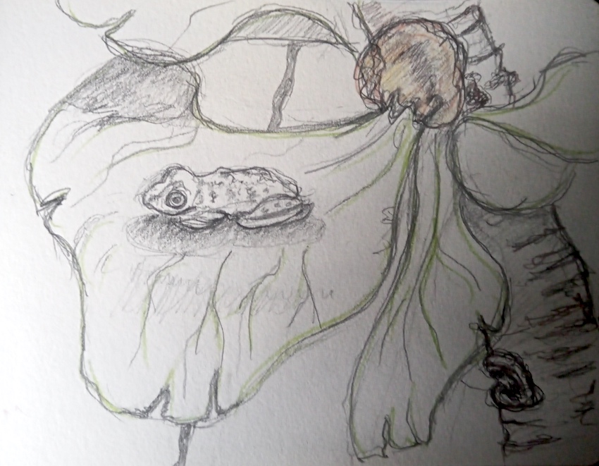 museum könig 1_Birgitt