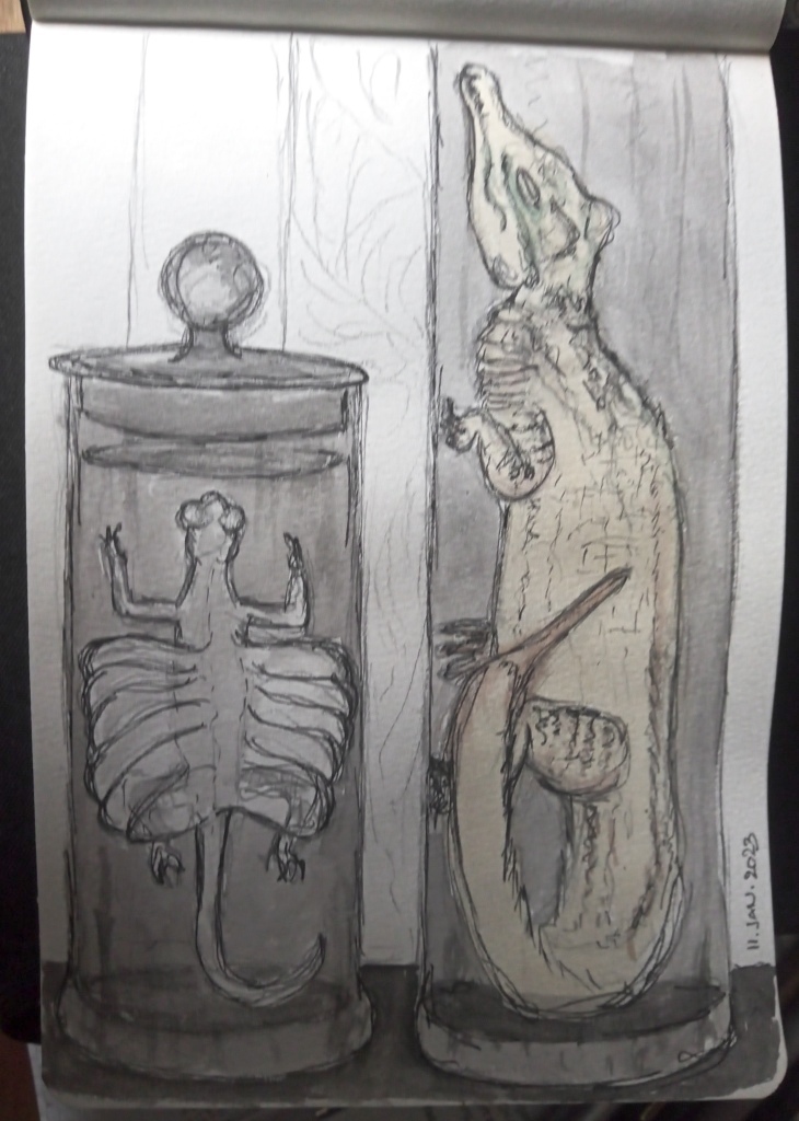 museum könig 2_Birgitt