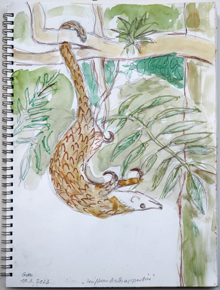 web_gitta_schuppentier