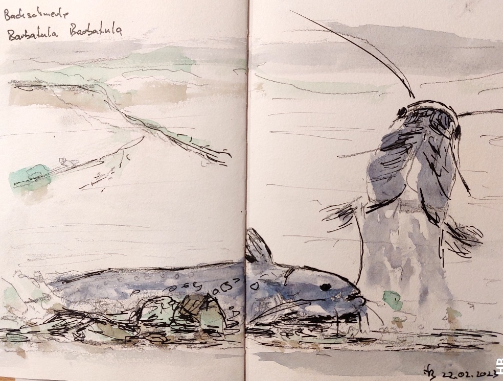 20230222_220803_Heinz